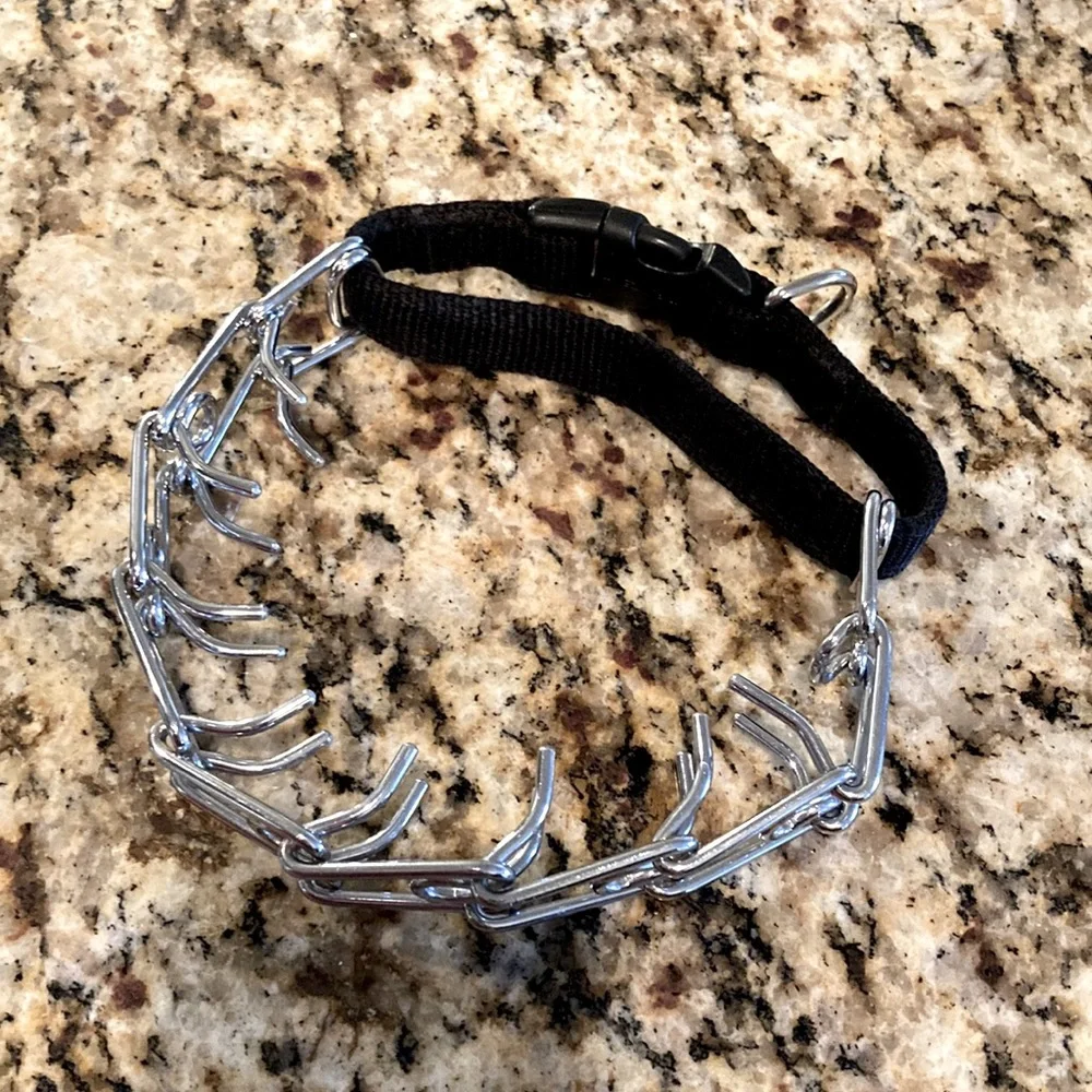 Training Prong Collar